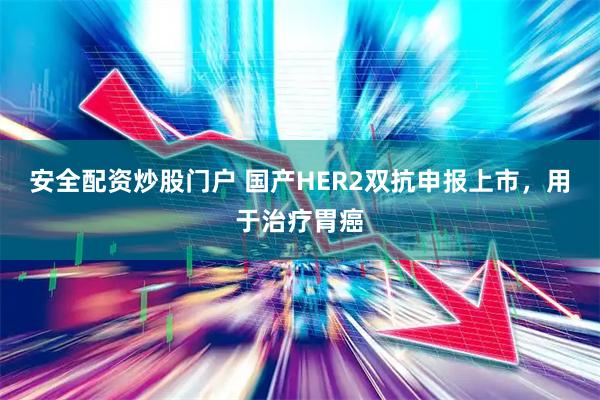 安全配资炒股门户 国产HER2双抗申报上市，用于治疗胃癌