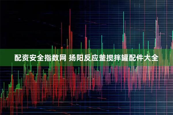 配资安全指数网 扬阳反应釜搅拌罐配件大全