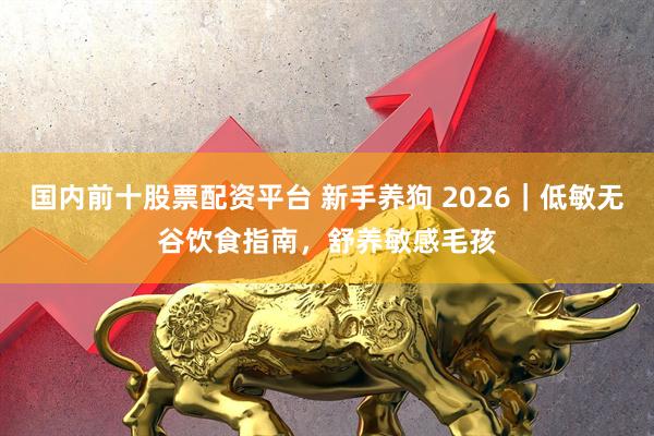 国内前十股票配资平台 新手养狗 2026|低敏无谷饮食指南,舒养敏感毛孩