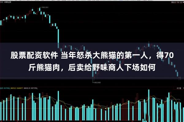 股票配资软件 当年怒杀大熊猫的第一人，得70斤熊猫肉，后卖给野味商人下场如何