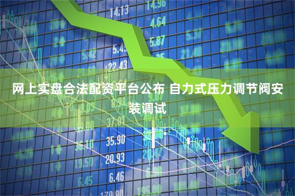 网上实盘合法配资平台公布 自力式压力调节阀安装调试